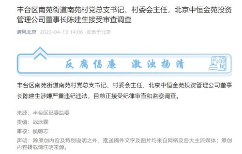 权力背后 丰台南苑村党总支书记陈建生被查的警示
